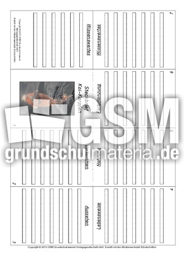 Faltbuch-Koi-Karpfen.pdf